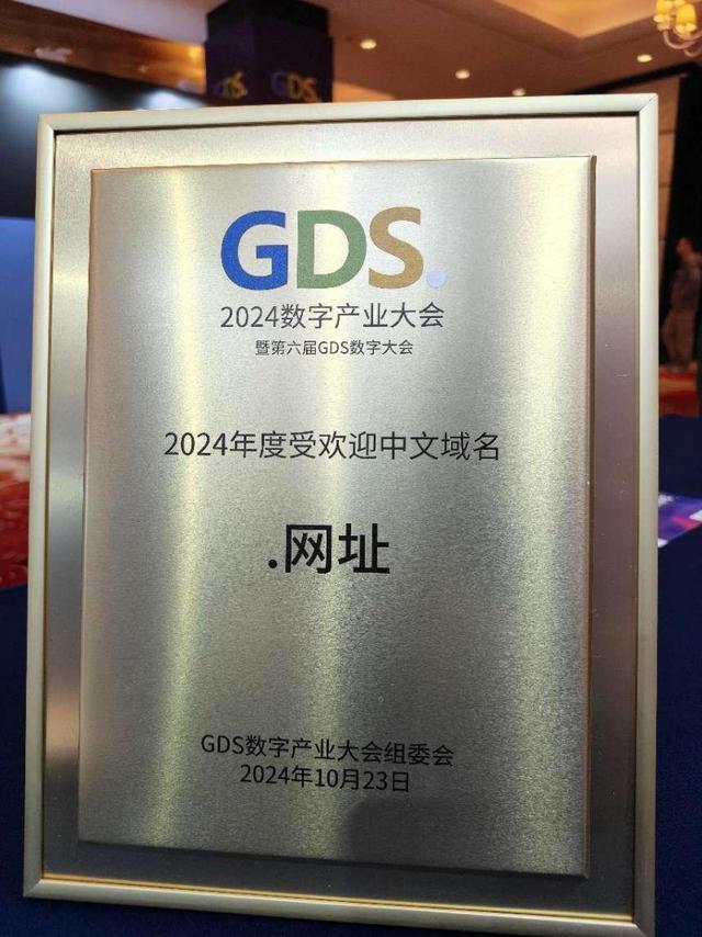 九游娱乐文化：中文域名注册商京客网：中文网址荣获2024GDS受欢迎域名(图2)