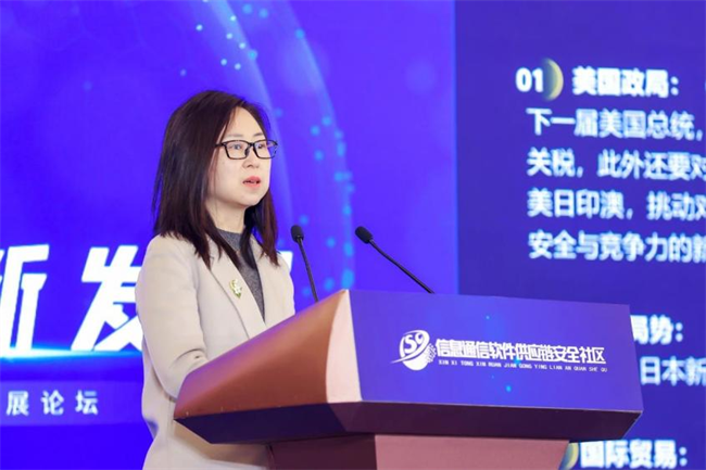 精彩回顾：2024软件供应链安全创新发展论坛成功举办(图9)