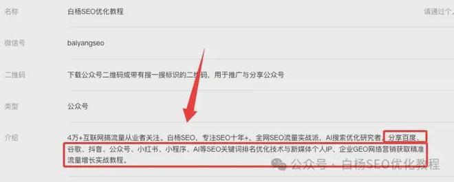 企业如何做GEO优化？白杨SEO告诉你关键步骤