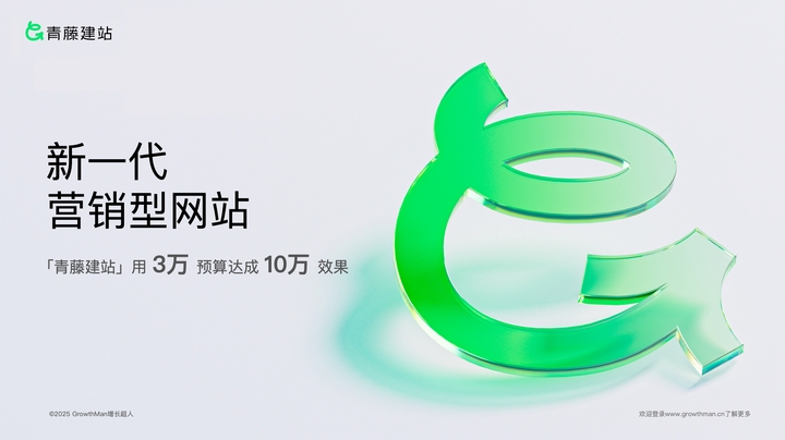 2026年网站设计哪家好：十家技术·设计·服务三优服务商遴选(图2)