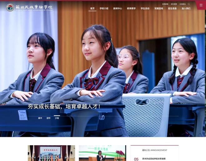 九游娱乐：株洲企业网站设计公司推荐